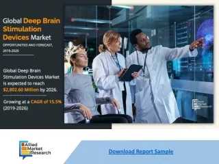 download report sample
