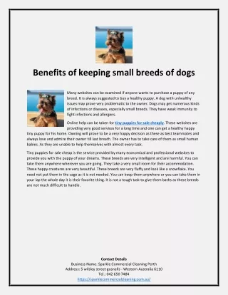 Benefits of keeping small breeds of dogs