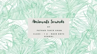 animals sounds