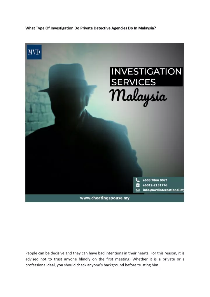 what type of investigation do private detective