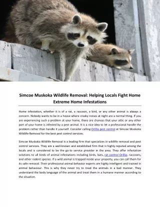 Simcoe Muskoka Wildlife Removal Helping Locals Fight Home Extreme Home Infestations
