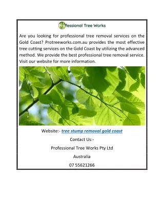 Remarkable Tree Stump Removal Gold Coast  Protreeworks.com.au