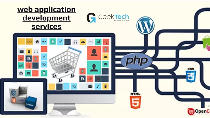 web application development services