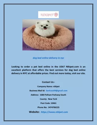 Dog Bed Online Delivery in Nyc | Nikipet.com