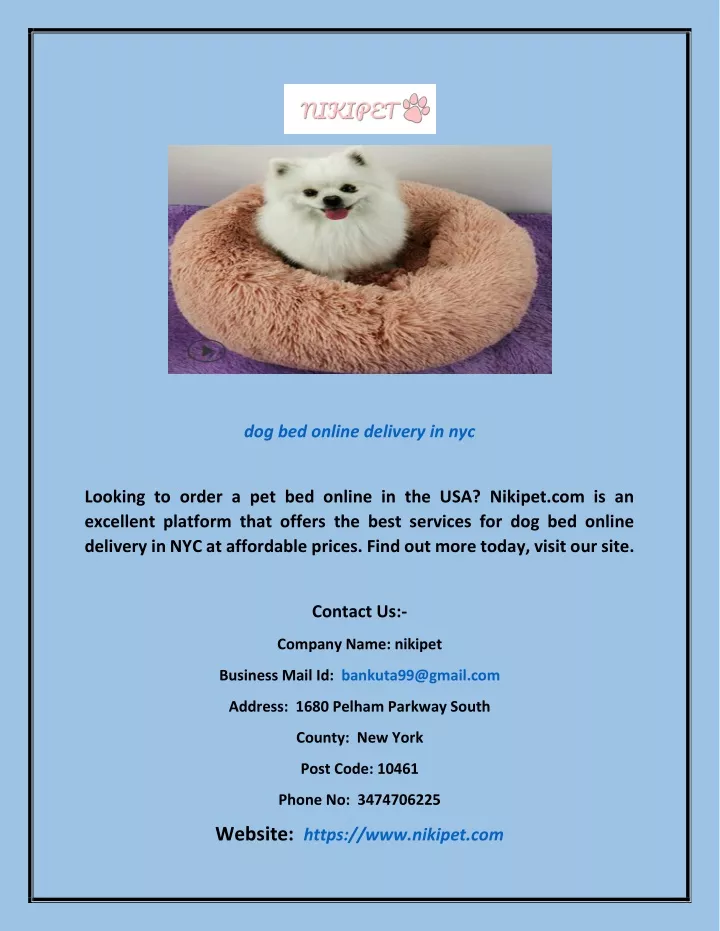 dog bed online delivery in nyc