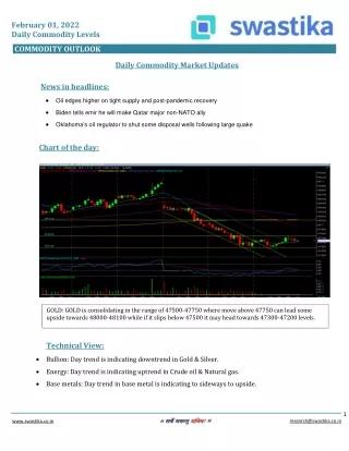 february 01 2022 daily commodity levels