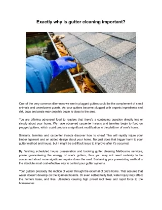 exactly why is gutter cleaning important