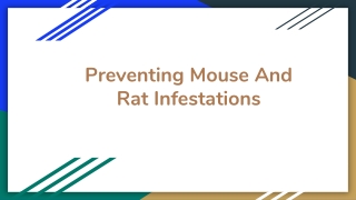 preventing mouse and rat infestations