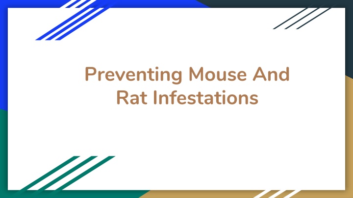 preventing mouse and rat infestations
