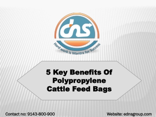 5 Key Benefits Of Polypropylene Cattle Feed Bags