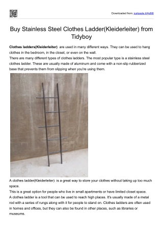 Buy Stainless Steel Clothes Ladder(Kleiderleiter) from Tidyboy
