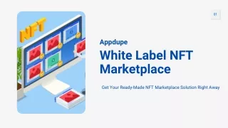 White Label NFT Marketplace - Appdupe