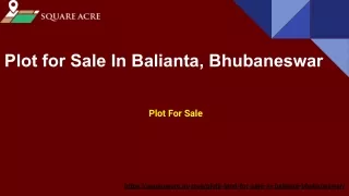 Plot For Sale In   Balianta, Bhubaneswa