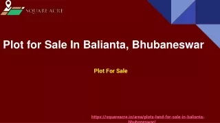 Land For Sale In Balianta, Bhubaneswar ( 91-720-564-8119)