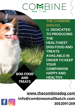 The best Dog Food And Treats