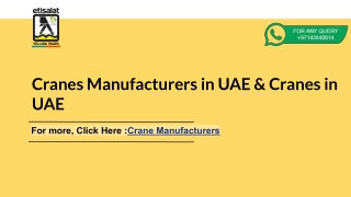 Cranes Manufacturers in UAE & Cranes in UAE