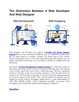 the distinction between a web developer