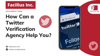 How Can a Twitter Verification Agency Help You?