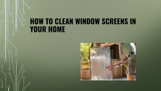 How To Clean Window Screens In Your Home