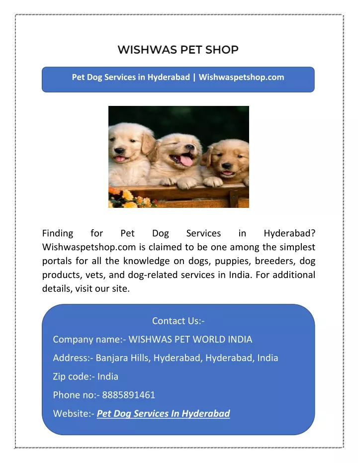 pet dog services in hyderabad wishwaspetshop com