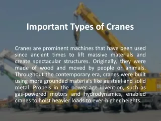 Important Types of Cranes