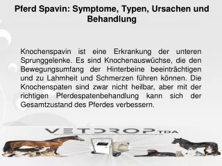 Pferd Spavin: Symptome, Typen, Ursachen und Behandlung