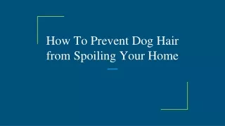 how to prevent dog hair from spoiling your home