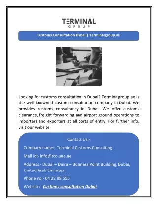 Customs Consultation Dubai | Terminalgroup.ae