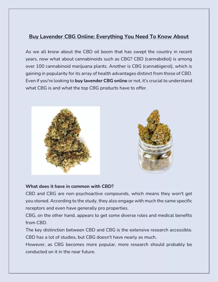 buy lavender cbg online everything you need