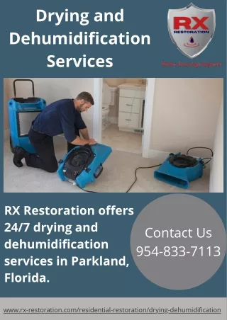 Drying and Dehumidification Services |Highly-Skilled Specialists |RX Restoration