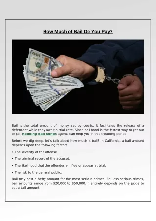 how much of bail do you pay