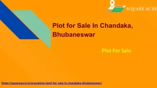 Plot for Sale In Chandaka, Bhubaneswar ( 91-720-564-8119)