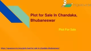 Land For Sale In Chandaka, Bhubaneswar ( 91-720-564-8119)