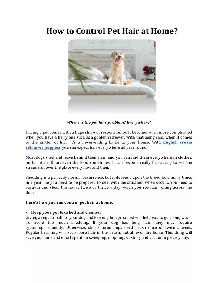 how to control pet hair at home