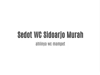 sedot wc sidoarjo murah ahlinya wc mampet