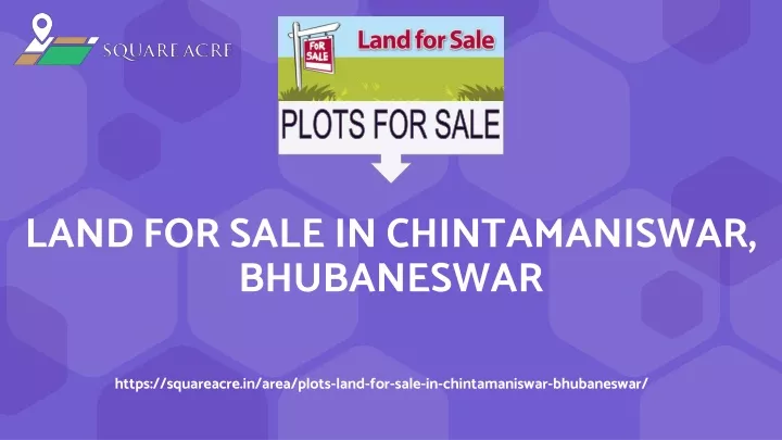 land for sale in chintamaniswar bhubaneswar