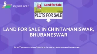 land for sale in chintamaniswar bhubaneswar
