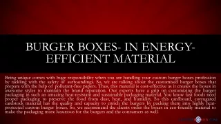 burger boxes in energy efficient material