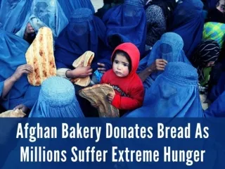 Afghan bakery donates bread as millions suffer extreme hunger