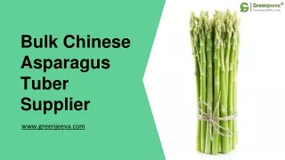 Bulk Chinese Asparagus Tuber Supplier