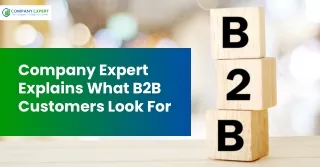 Company Expert Explains What B2B Customers Look For