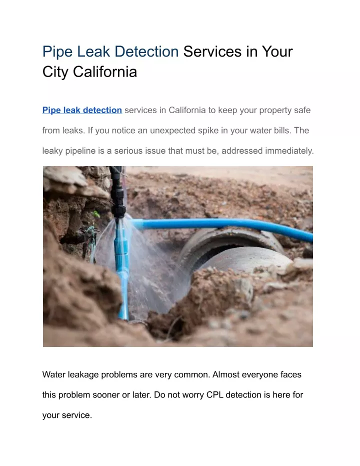 pipe leak detection services in your city