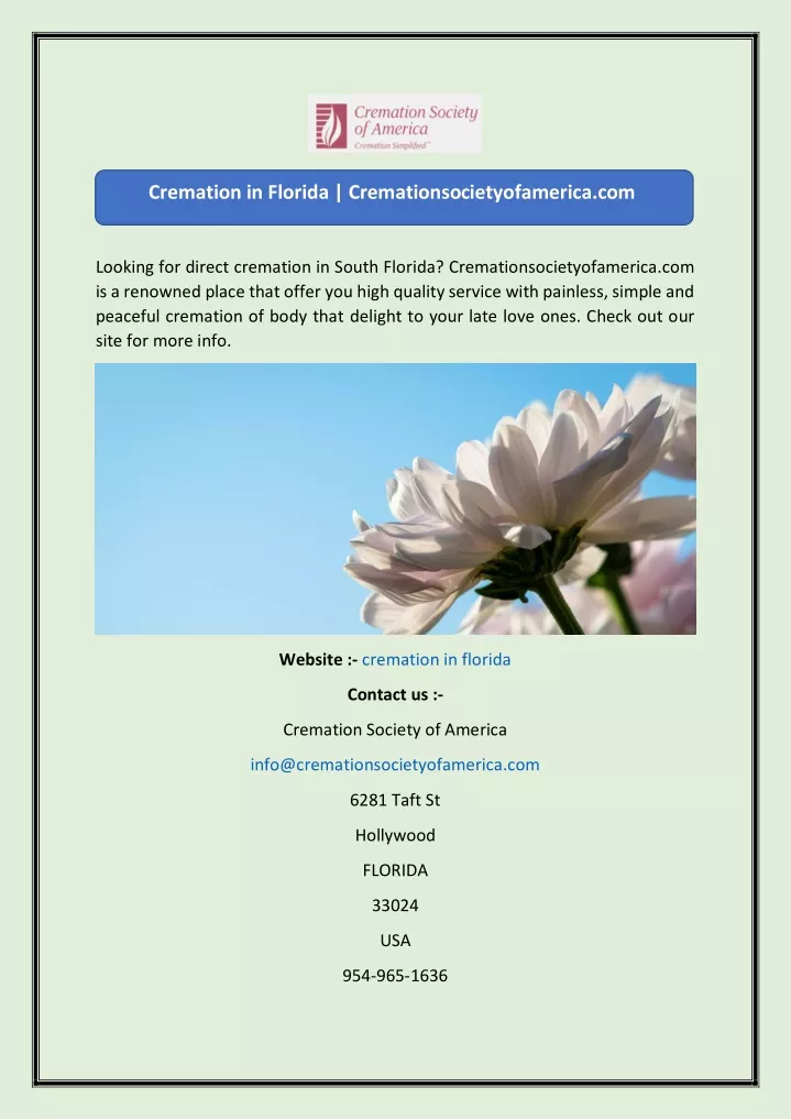 cremation in florida cremationsocietyofamerica com