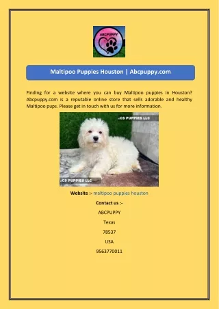 maltipoo puppies houston abcpuppy com