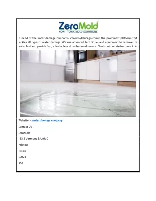Water Damage Company  Zeromoldchicago.com