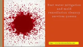 Best water mitigation and mold remediation cleanup services queens