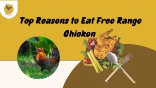 Top Reasons To Eat Free Range Chickens | Kpasli