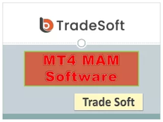 MT4 MAM Software