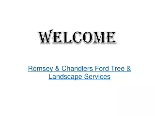 welcome