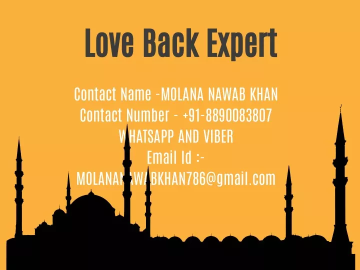 love back expert